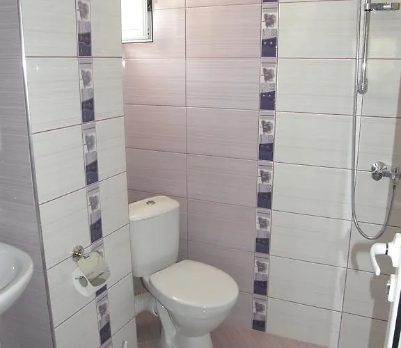 Guest house Emona 2*